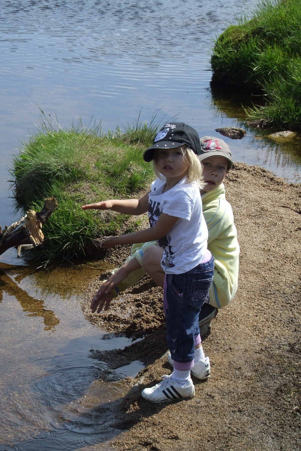 img00010.jpg