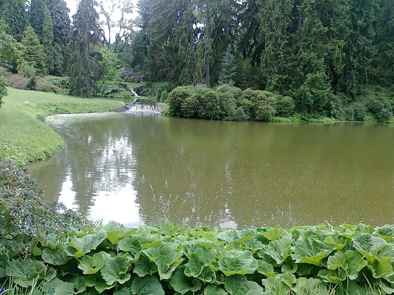 pruhonice